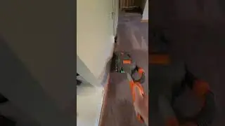Vacuuming prior to a steam clean. #shorts #steamcleaning #asmr #carpetcleaning #vacuum