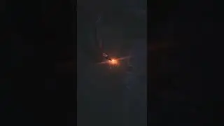 #cat #cats #funny #july2023 #fireworks #loud
