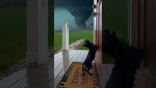 CCTV Footage: Cat Begs for Help During Tornado Storm | #CCTVFootage #Tornado #Storm #ViralVideo