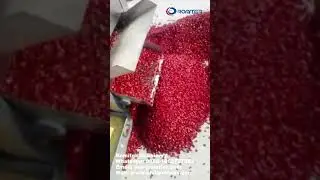 Chili Cutting Machine with Seeds Removing