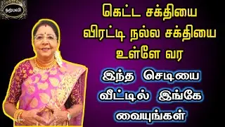 கெட்ட சக்தியை விரட்டி நல்ல சக்தியை உள்ளே வர இந்த செடியை வீட்டில் இங்கே வையுங்கள்| Ketta sakthi neega