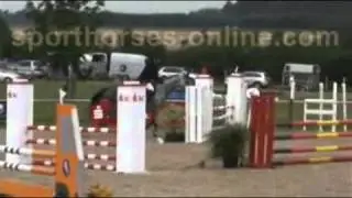 www.sporthorses-online.com Hanoverian jumping mare by Quidams Rubin (Quidam de Revel)