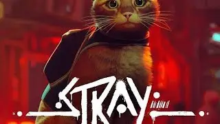 СТАЛ КОТОМ⁉️ STRAY ПРОХОЖДЕНИЕ