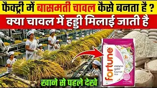 फैक्ट्री में बासमती चावल कैसे बनता है ? | How Basmati Rice Is Made | Basmati Rice Factory