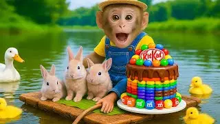 Monkey Zimba and surprise birthday party on the big river with friends
