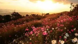 All of Creation Sings by Karen Davis (w/ Lyrics)