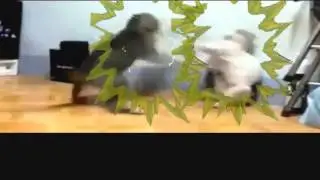 Theewall vs. Stormsink in a nutshell (DBZ style)