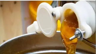 Apiculture business : Apiary Technical points.