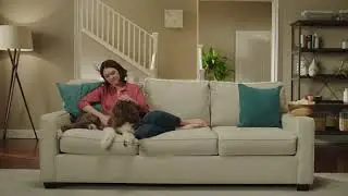 Shark ION W1 Handheld Vacuum