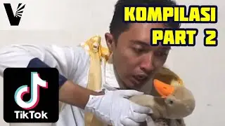 ☺ Daki Lapar! - Kompilasi Tiktok PART 2 - #ArmanVesona