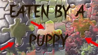 How To Replace Missing (or broken) Puzzle Pieces