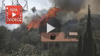 Wildfire emergency! Every second counts for Greece's trapped animals.