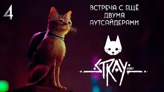 Stray. Знакомство с ещё двумя аутсайдерами. #stray #straycat  #борода #bigbeardgamer