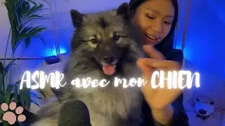 ASMR FR 🐶 Je te présente mon chien (spitz loup) 😍