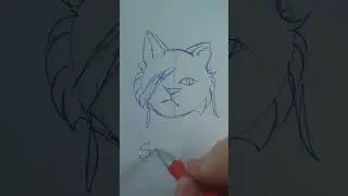 How I draw cat faces easy-Tutorial #cat #music#artist#tutorial#warriorcats#oc#speedart