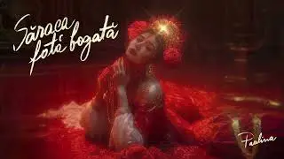 Paulina feat. Dl. Dani - Suflet de interlop