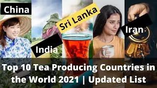 Top 10 Biggest Tea Producing Countries in the World 2021 | China Tea | India Tea| Sri Lanka Tea| Tea
