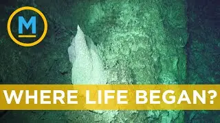 Scientists believe this 'Lost City' holds clues for how life began on Earth | Your Morning
