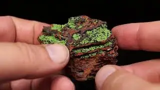 Conichalcite-austinite, Mina Ojuela, Mapimi, Durango, Mexico
