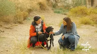 Πλάνα με Ουρά -  Dog's Voice