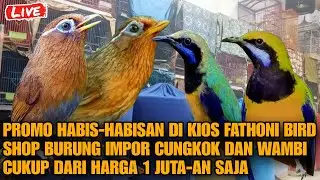 🔴 BONGKAEAN BURUNG IMPORT WAMBI BESAR DAN CAK CUNGKOK BODY BIG‼️