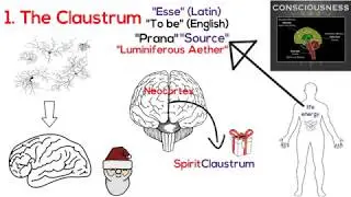 CLAUSTRUM & CONSCIOUSNESS - The AMAZING Sacred Secretion / Christ Oil / Chrism (part 3)