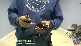 E - Collar Tutorial: Dogtra 1900S Black Edition - Functions Buttons And How Does It Work