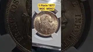 &diams;️ 1 Florin 1877 - NGC MS62