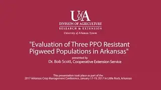 Bob Scott   2017 PPO Resistant Pigweed