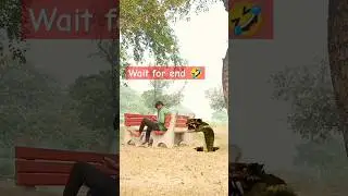 Snake attack funny vfx video #shorts