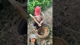 #cara #mudah #menangkap #belut #mengunakan #bambu #dan #umpan