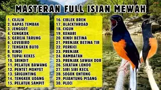 🔴 MASTERAN PALING LENGKAP ‼️ FULL ISIAN MURAI BATU GACOR