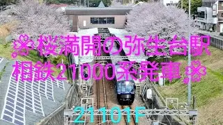 【桜満開】相鉄21000系(21101)弥生台駅発車 ('2022)