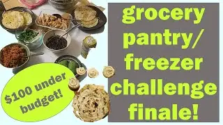 pantry/freezer challenge | $100 under budget | january 21 | week 4 | what i learned