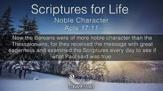 Scriptures for Life  |  Noble Character