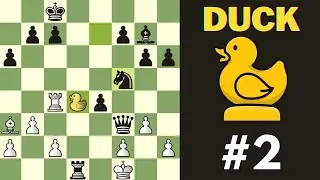 Duck Chess - game 2 - Fairy Chess