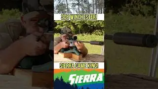 Классическая чушь?! Тест баллистического геля 308 Winchester Sierra Gameking