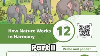 Class 8 Science Curiosity Chapter 12 How Nature Works In Harmony Explanation Part 2 | CBSE 2026