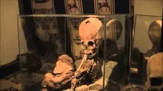 REAL ALIEN? ALIEN PROOF?? Anatomy Expert Believes Enigmatic Skeleton Of Peru Is Not Human