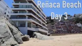 Chile Renaca beach Valparaiso, Chile January 2017