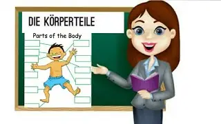 Parts of body in German❤In german always learn vocabulary with article.