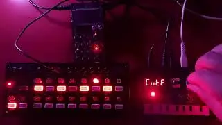 Melodic ambient jam with Pocket Operator PO-33 K.O., Korg NTS-1 and SQ-1 (dawless)