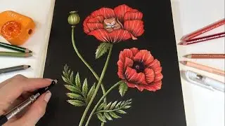 Time-Lapse Coloring 