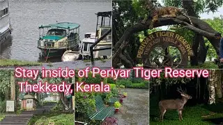 Our stay in Periyar Tiger Reserve with beautiful wildlife sightseeing | Aranya Nivas | Jungle Resort