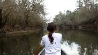 (Part 1)Ochlockonee near mile 20 down stream of lake Talquin dam