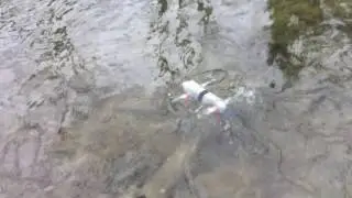 Waterproof Quadcopter Drone Fully Submersible - Tetra Drones V4 Underwater Testing - Swim and Fly