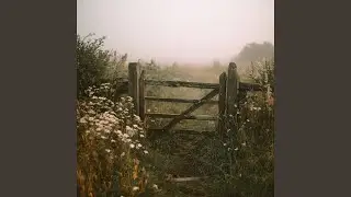 FInding My WIngs