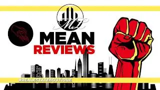 Hilarious Mean Real Estate Agent Reviews by Matt Laricy Group