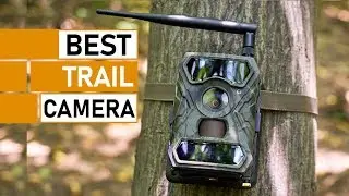 10 Best Trail Cameras to Buy | Bushnell, Stealth Cam, Spypoint