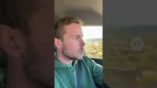 Real life roadrunner coyote #funnyvideos #coyote #roadrunner #wyliecoyote #lol #funny #funnyai